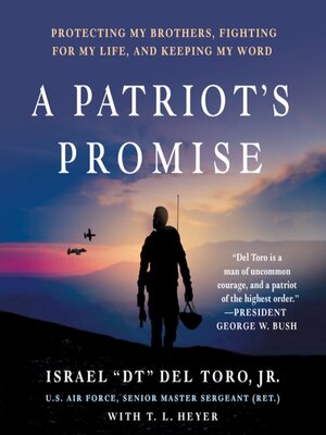 cover image of A Patriot's Promise